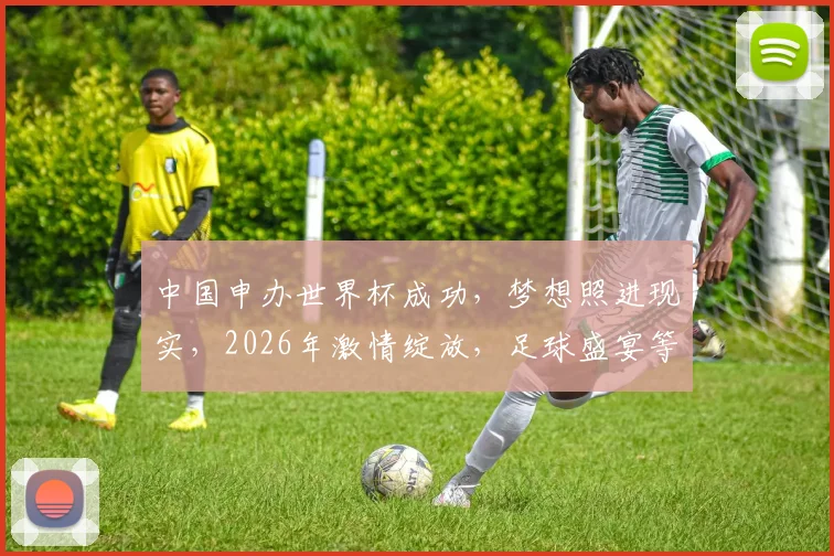 中国申办世界杯成功，梦想照进现实，2026年激情绽放，足球盛宴等你来